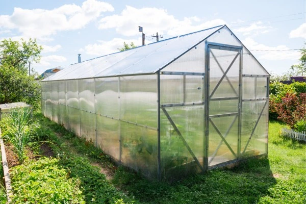Atap Polycarbonate Bening untuk Greenhouse - image by canva.com